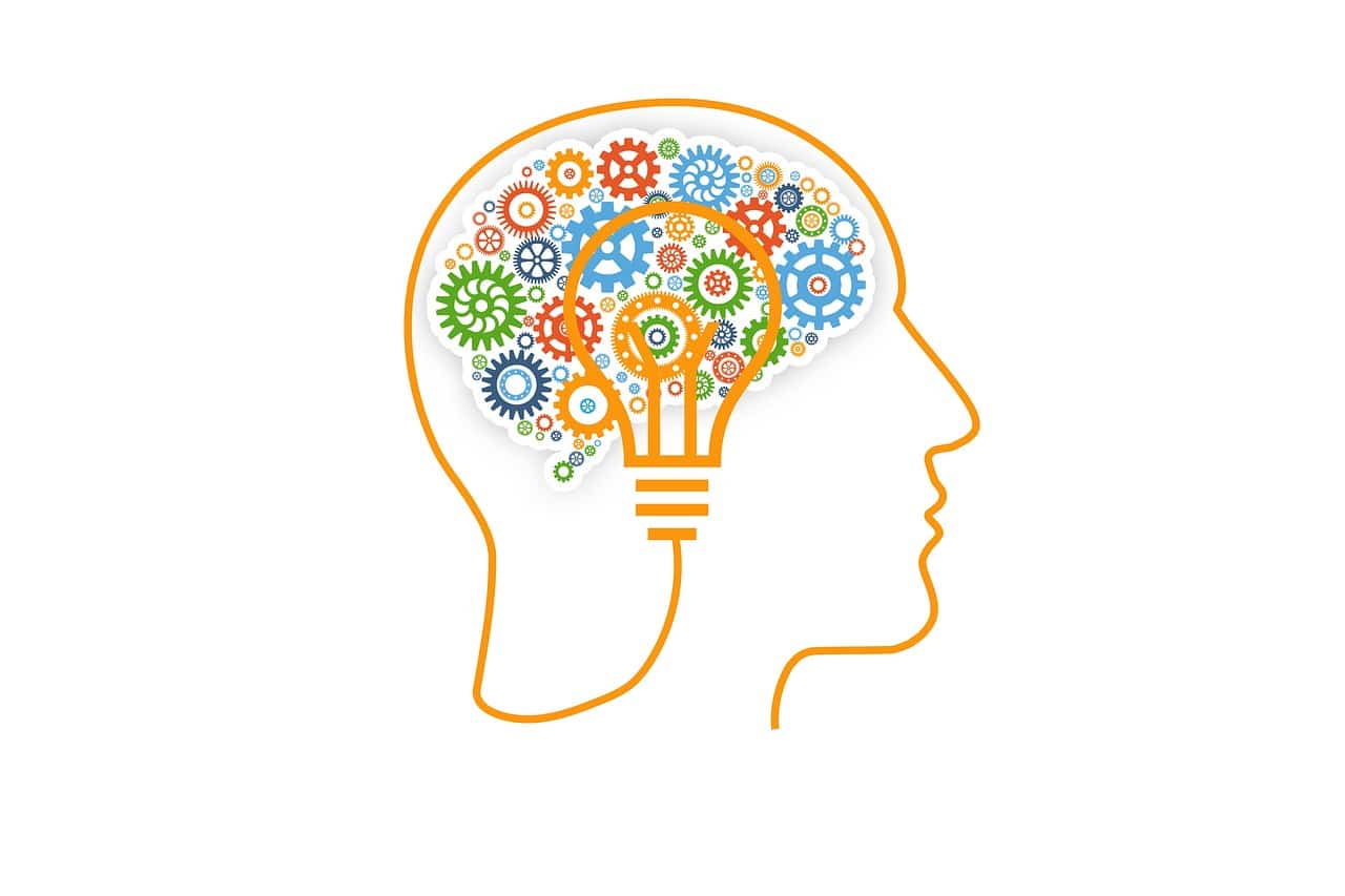O que é neuropsicopedagogia